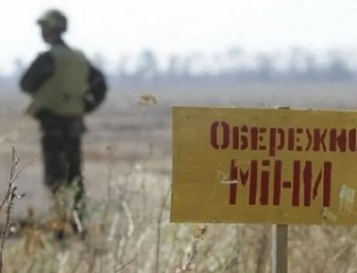 Розмінування та очищення сільськогосподарських угідь займе роки, — Микола Сольський