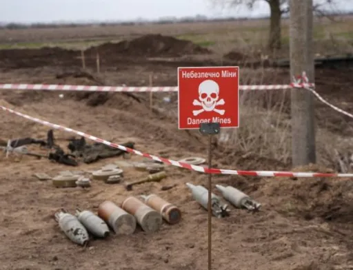 Нібулон отримав сертифікат оператора з протимінної діяльності