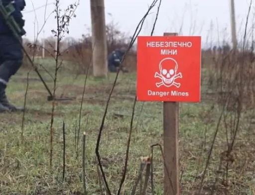 ООН виділить $4 млн на розмінування Миколаївщини