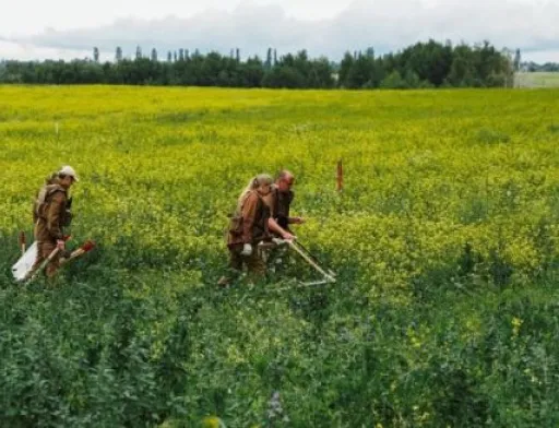 Розміновувати поля буде кому – в Україні збільшиться кількість операторів протимінної діяльності