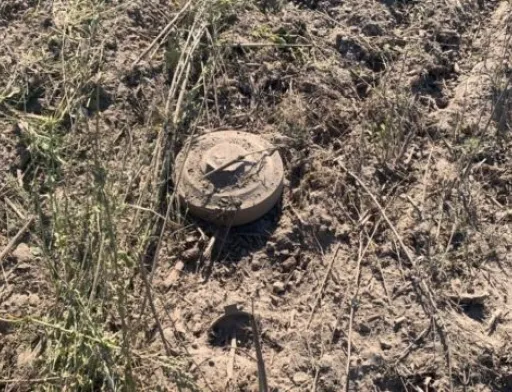 Термінового розмінування потребують біля 800 тис. га сільгоспугідь