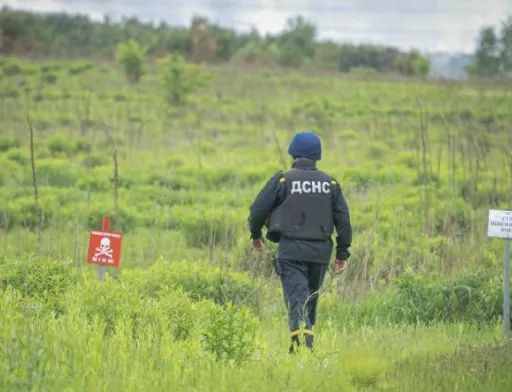 За минулий тиждень сапери обстежили понад 6 тис. га сільськогосподарських земель
