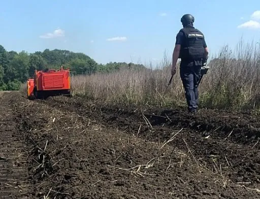 Сума, закладена в бюджеті-2025 на розмінування сільськогосподарських земель, втричі менша, ніж торік