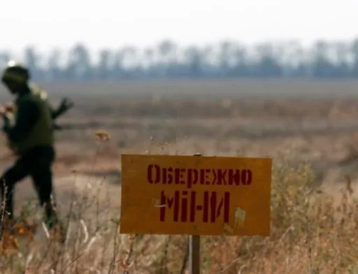 «Нібулон» займеться розмінуванням територій