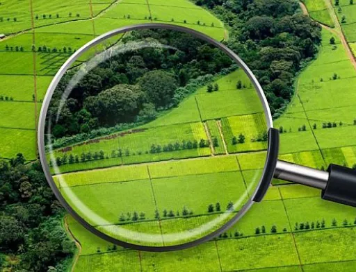 В Мінагрополітики обговорили розвиток геопросторових даних на 2025 рік