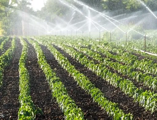 В Україні затвердили довгостроковий план розвитку іригації до 2050 року