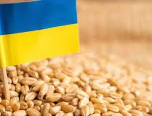 Румунія готова допомогти з транзитом українського продовольства