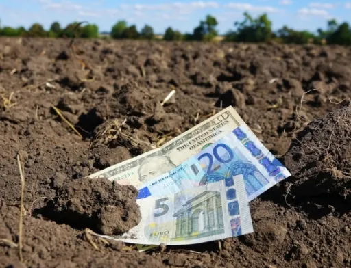 Ринок землі має захищати інтереси держави й селян: "ЄС" подала правки до законопроєкту