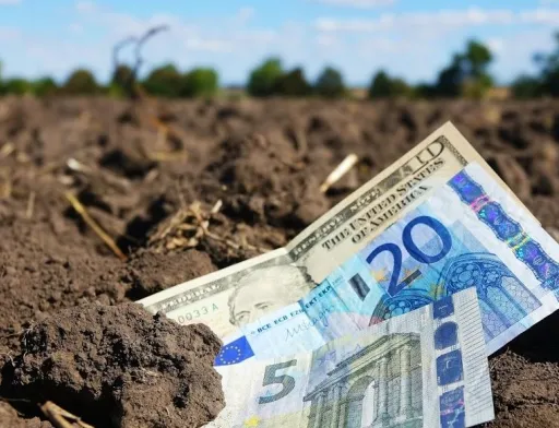 Продано майже чверть мільйона гектарів сільськогосподарських земель