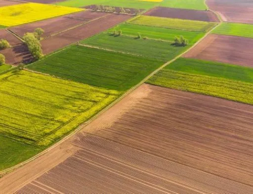 Запуск ринку землі для юридичних осіб під час воєнного стану шкодить національним інтересам України, – ВАР