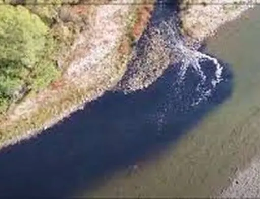У деяких річках Прикарпаття торік вміст пестицидів перевищував норму в 15 разів