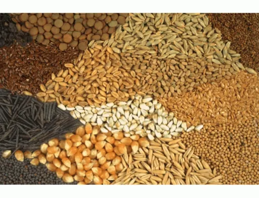 Індія: ціни різко зростають на широкий асортимент продуктів