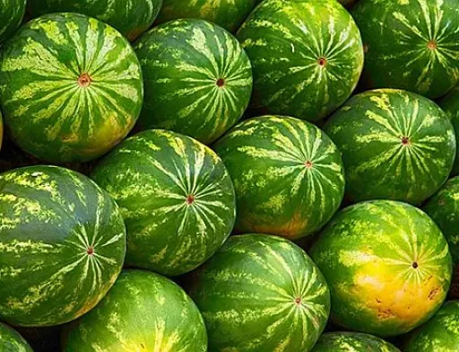 Сезон кавунів розпочався на декілька тижнів раніше, ніж минулого року