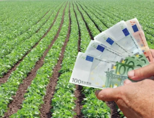 Уряд вніс зміни у деякі програми держпідтримки