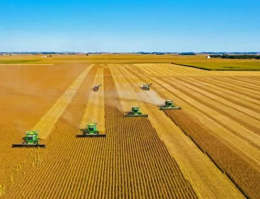 Сільськогосподарські площі Миколаївщини скоротилися на чверть