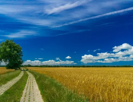 Тарас Висоцький обговорив із міжнародними партнерами питання розвитку сільських територій