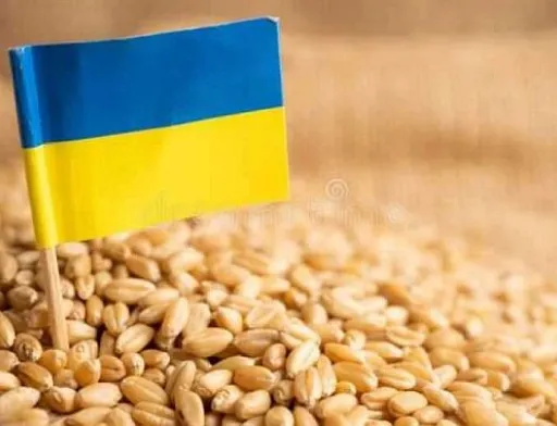 Система визначення походження зерна запрацює через два місяці