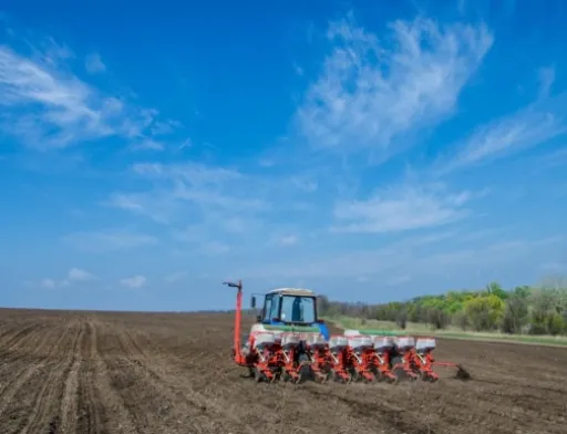 У двох районах Сумщини розпочато сівбу ранніх ярих культур