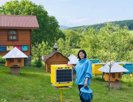 Закарпатський смарт-вулик знає все про бджіл