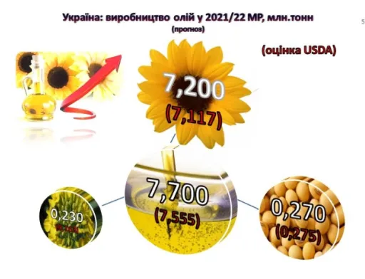 У вересні — жовтні 2021/22 МР спостерігається зниження виробництва олії соняшникової на 13,5 %