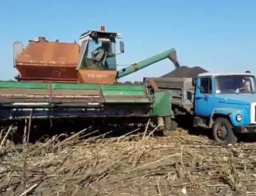 Українські аграрії розпочали збирання соняшнику