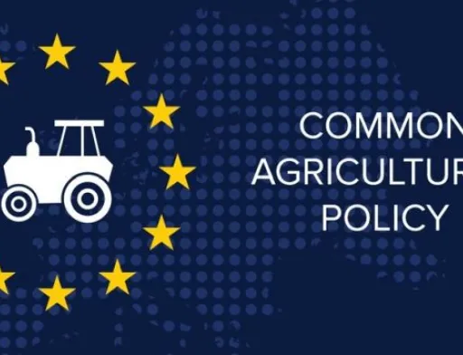 Почалась реалізація спільної сільськогосподарської політики ЄС на 2023-2027 роки