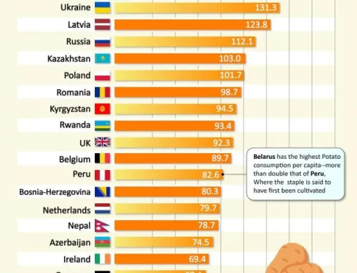 Українці другі в світі по споживанню картоплі