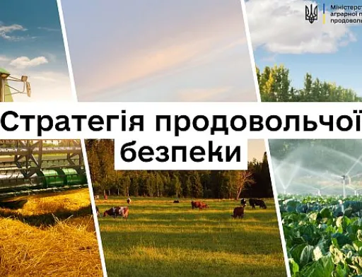 Кабмін затвердив Стратегію продовольчої безпеки до 2027 року