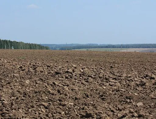 Субсидії на оброблювані угіддя та утримання худоби: прийом заявок розпочинається завтра