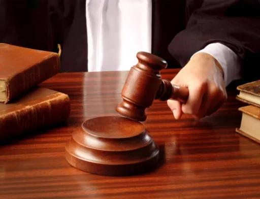 Сільського голову ув’язнили на 5 років за шахрайство з землею