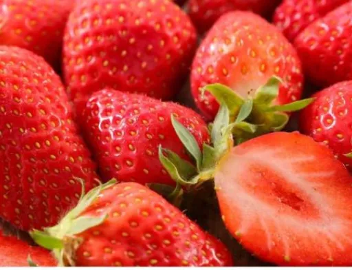 В Україні почали масовий продаж суниці садової відкритого ґрунту