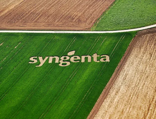 В Syngenta в Украине отмечают: фермеры стали чаще обращать внимание на продукты-аналоги либо генерические продукты, завезенные из юго-восточных стран – Китая, Индии, Бангладеш