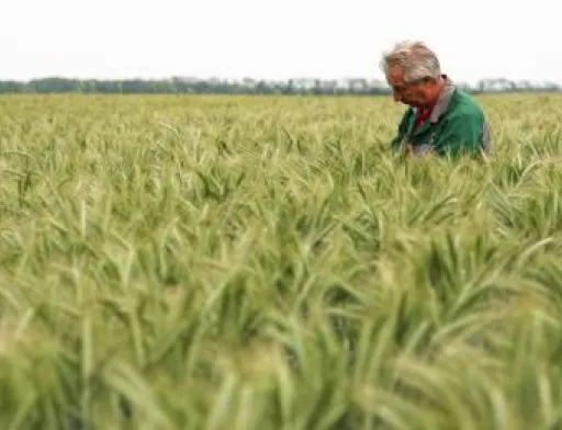 Названо найбільш оплачувані професії в агросекторі