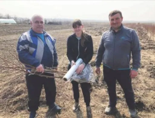 Молода сім'я з Волині змінила міське життя на сільське і зайнялася вирощуванням саджанців
