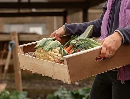 Україна та ЄС встановили рекорд у взаємній торгівлі агропродукцією