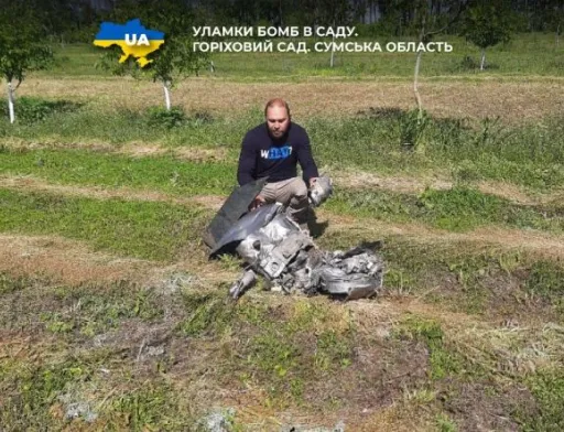 Окупанти розбомбили та пограбували горіховий сад на Сумщині