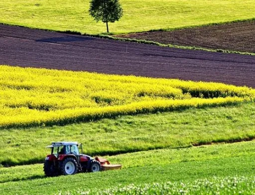 Зміна структури посівів та «розумні датчики» — як європейські фермери долають нестачу добрив