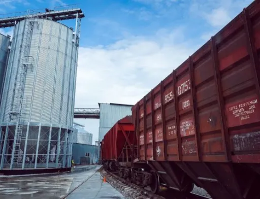 Під час транспортування до порту вартість зерна зростає на 20-40 %