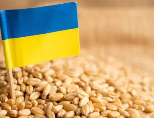 Єврокомісія не має грошей для компенсації Україні додаткових транспортних витрат на експорт зерна