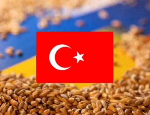 Кораблі під прапором Туреччини можуть рухатись зерновим коридором безперешкодно, — Міноборони Туреччини