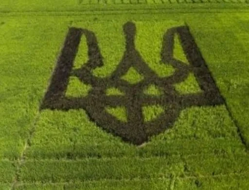 Лише чверть українців підтримують ринок землі