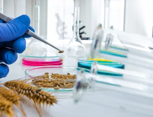 Хлорпірифос у готовій продукції