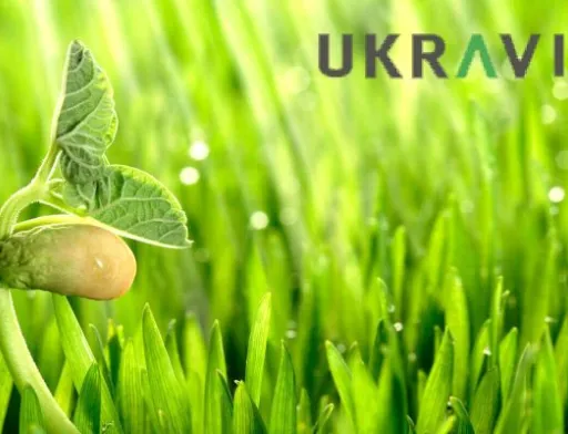 «UKRAVIT» — завжди більше можливостей