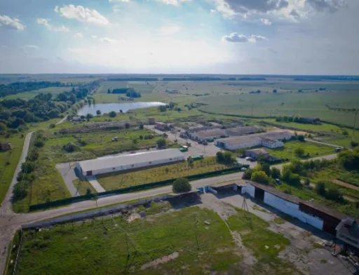 Господарський суд Києва став на захист російських власників «Української ягоди»