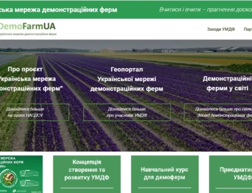 Демоферми: побачити — значить повірити
