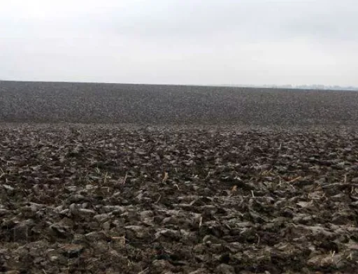 МХП зацікавлений у купівлі землі в Україні
