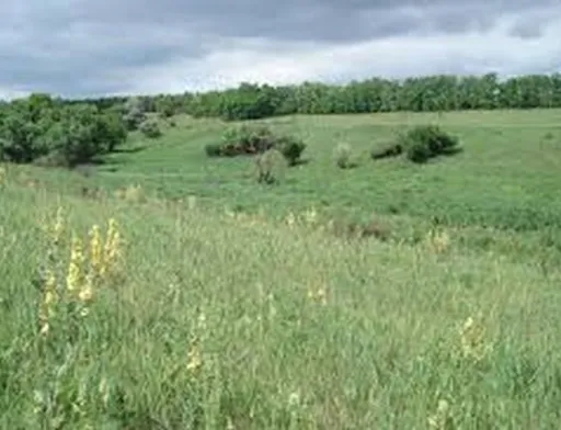 Землі природно-заповідного фонду в приватну власність передавати не можна