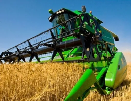 У 2020-му Україна буде з хлібом, незважаючи на посуху