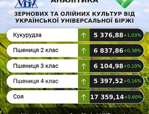 Ціни на зернові та олійні минулого тижня переважно зростали, – аналітики