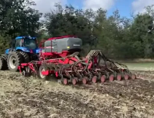 В ПАЕК вирішили посіяти ще декілька тисяч гектарів озимого ріпаку